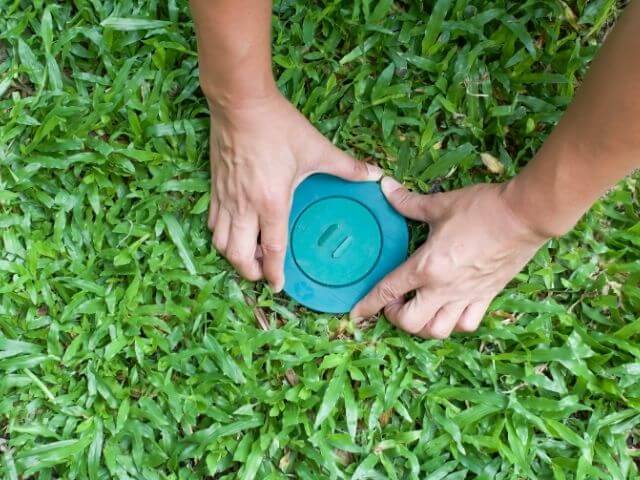 Hands planting a seedling in lush green grass for sustainable growth.